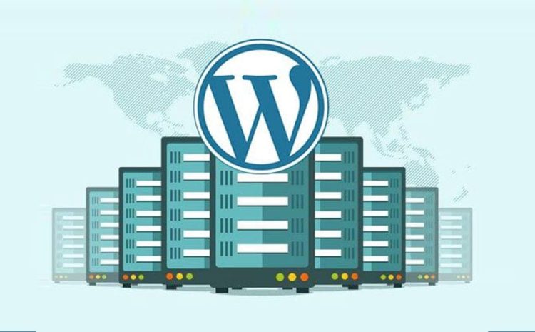 hosting potrivit pentru WordPress